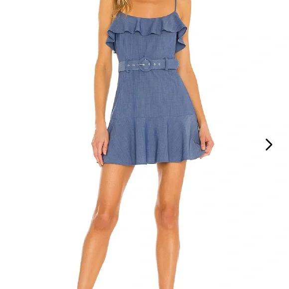 Lovers + Friends Blue Ruffle Mini Dress - Picture 10 of 10